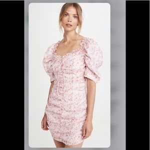 Pinky ditsy NEW